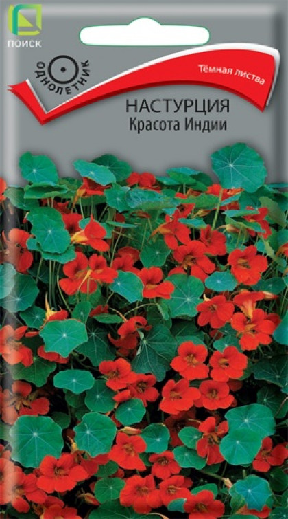 Красота Индии Ц(Поиск)