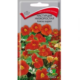 Аляска скарлет низкорос Ц(Поиск)