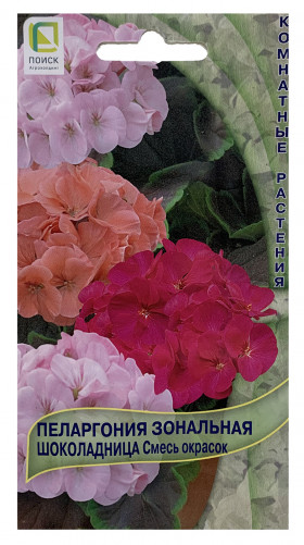 Шоколадница смесь зонал Ц(Поиск)