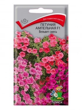 Вельвет смесь ампел Ц(Поиск)