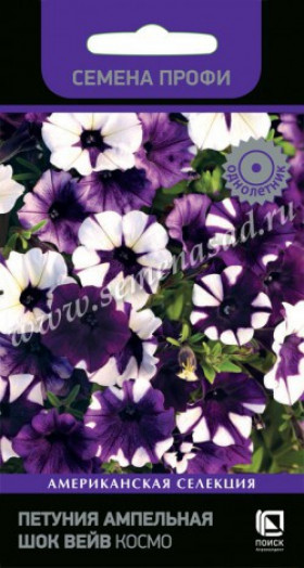 Шок Вейв Космо ампельная Ц(Поиск)
