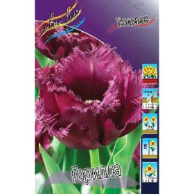 Горилла 11/12 (бахр.) 8шт