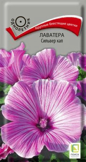 Сильвер кап Ц(Поиск)