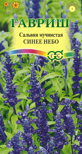 Синее небо Ц(Г)