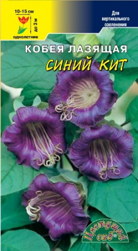 Синий кит/Цветущий сад