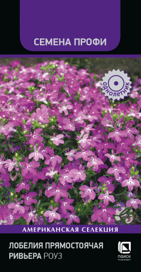 Ривьера Роуз Ц(Поиск)