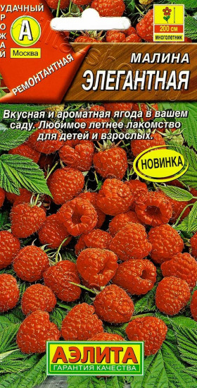 малина Элегантная Ц(А)