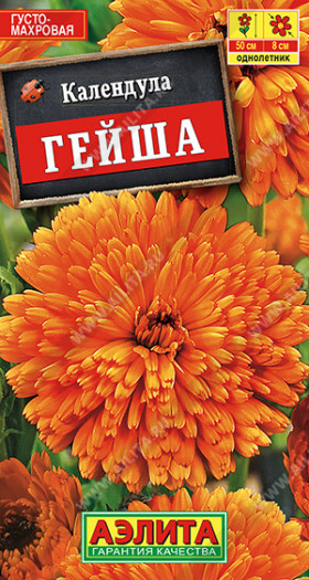 Гейша Ц(А) (7101                     )