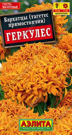 Геркулес прямостоячие Ц(А)