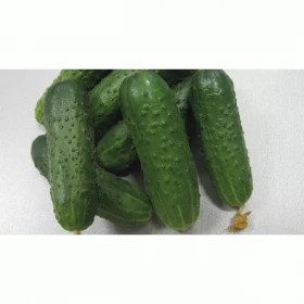 Герман (250шт) Seminis