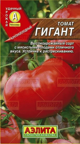 Гигант Ц(А) томат