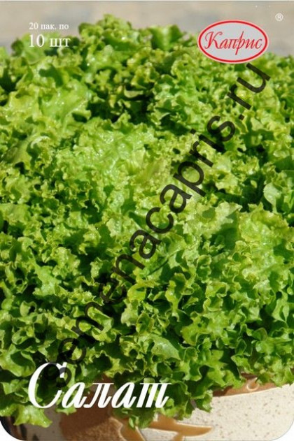 Салат Илема листовой Каприс