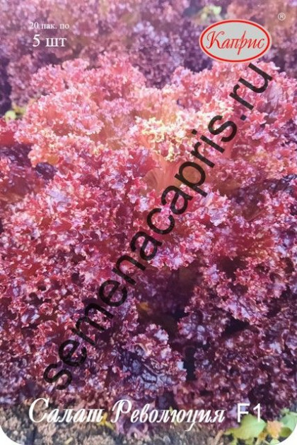 Салат Революция листовой Каприс