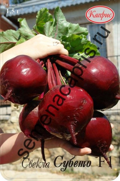 Свекла Субето Каприс