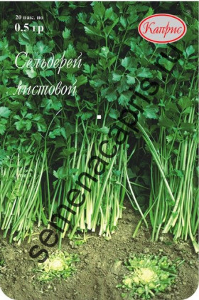 Сельдерей Нежный Каприс