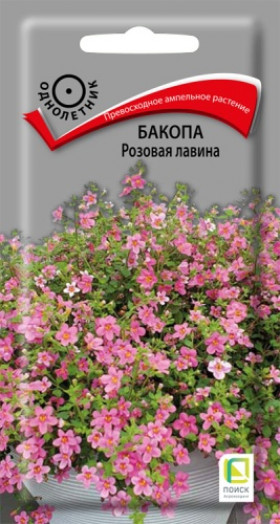 Розовая лавина Ц(Поиск)