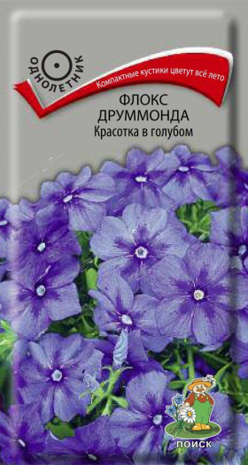 Красотка в голубом друммонда Ц(Поиск)