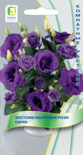 Рози синяя махровая Ц(Поиск)