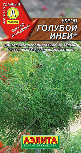 Голубой иней Ц(А) укроп