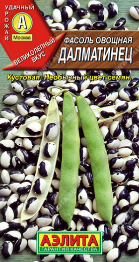 Далматинец Ц(А)