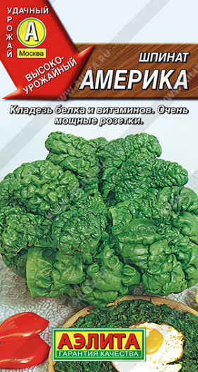 Америка Ц(А)