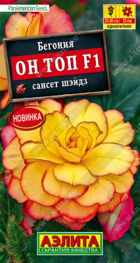 Он Топ сансет шэйдз Ц(А)