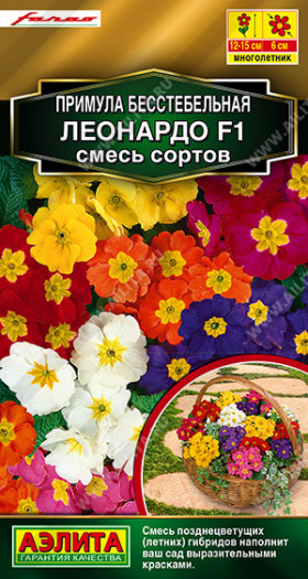 Леонардо бесстебельная смесь Ц(А)