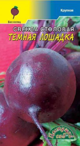 Темная лошадка/Цветущий Сад