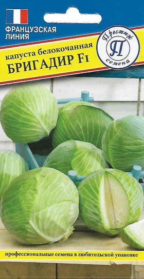 Бригадир б/к 10шт Ц(П)