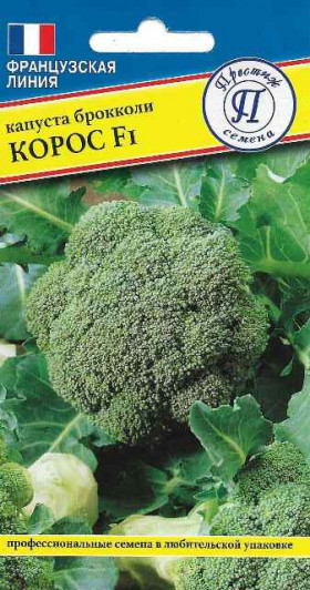 брокколи Корос 10шт Ц(П)