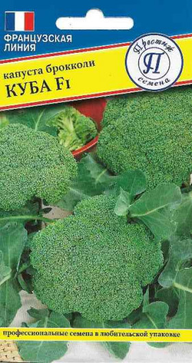 брокколи Куба 10шт Ц(П)