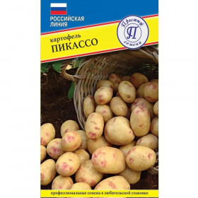 Пикассо 0,05гр Ц(П)