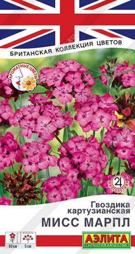 Мисс Марпл куртузианская Ц(А)