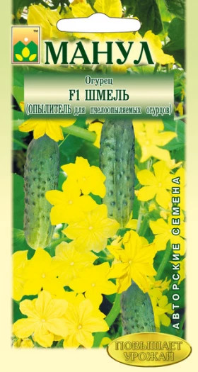 Шмель Манул