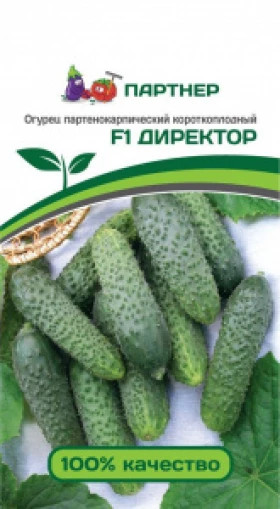 Директор 5шт Партнер