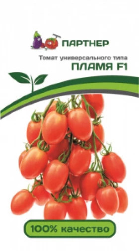 Пламя 10шт Партнер