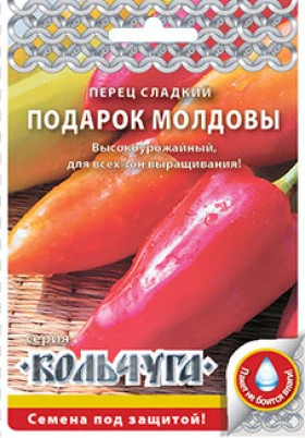 Подарок Молдовы Кольчуга