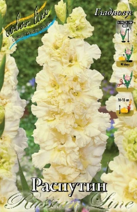 Распутин (гофр.) 10/12 8шт