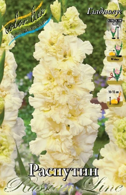 Распутин (гофр.) 10/12 8шт