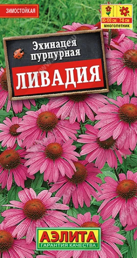 Пурпурная  Ливадия Ц(А)