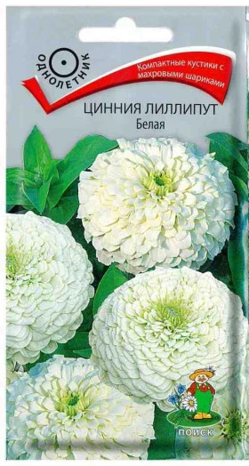 Лиллипут Белая Ц(Поиск)