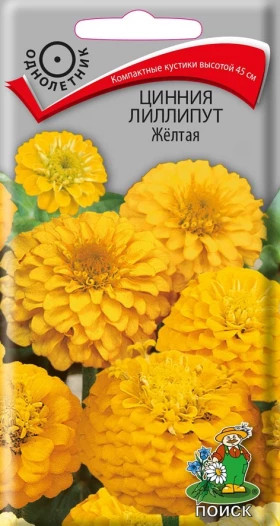 Лиллипут Желтая Ц(Поиск)