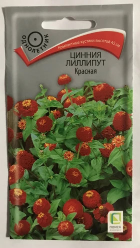 Лиллипут Красная Ц(Поиск)