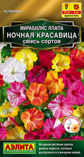 Ночная красавица смесь Ц(А)