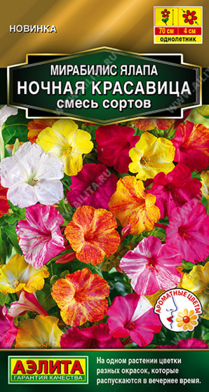 Ночная красавица смесь Ц(А)