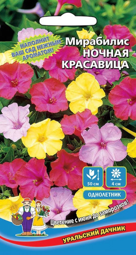 Ночная красавица смесь Ц(УД)