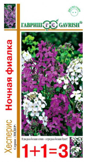 Ночная фиалка сер.1+1. 0,4гЦ(Г)