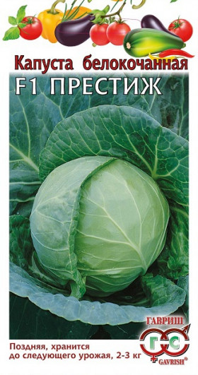 Престиж Ц(Г)