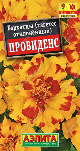 Провиденс отклоненные Ц(А)