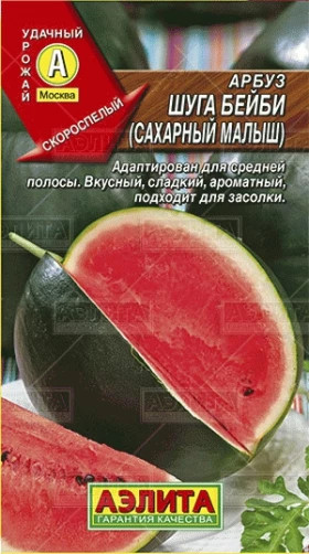 Шуга Бейби (Сахарный малыш) Ц(А)